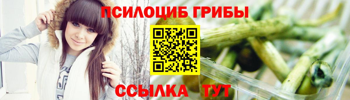 Звенигород  Псилоцибиновые грибы MAGIC MUSHROOMS  Вход с VPN 